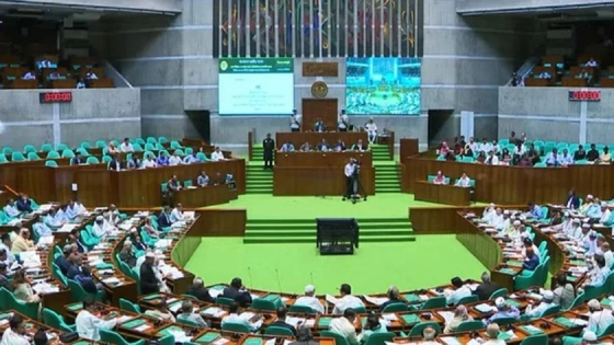 মানবাধিকার কমিশন বিল: সংসদীয় কমিটির আলোচনায় অংশ নেয়নি বিরোধী দল