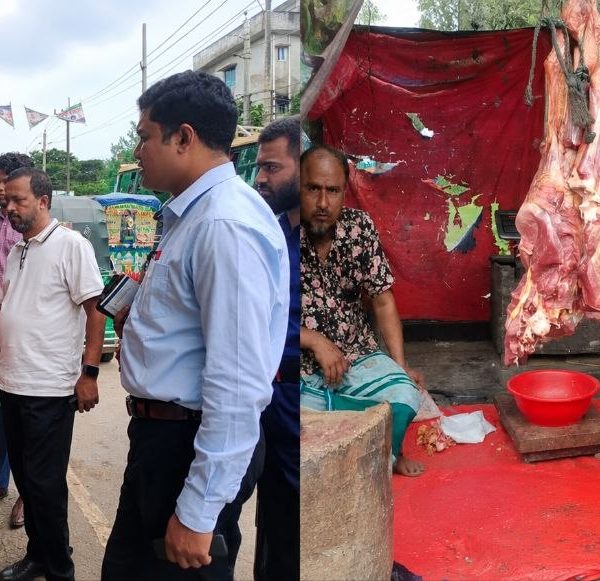 ভোলায় পচা মাংস বিক্রির দায়ে জরিমানা, মাটিতে পুঁতে ধ্বংস